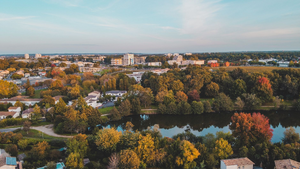 Enlèvement arbre urgence Cergy